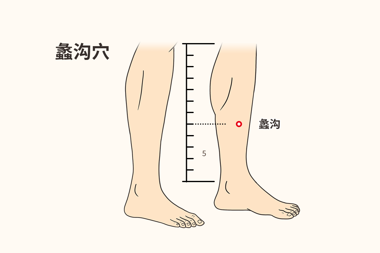 肝经蠡沟的准确位置图图片