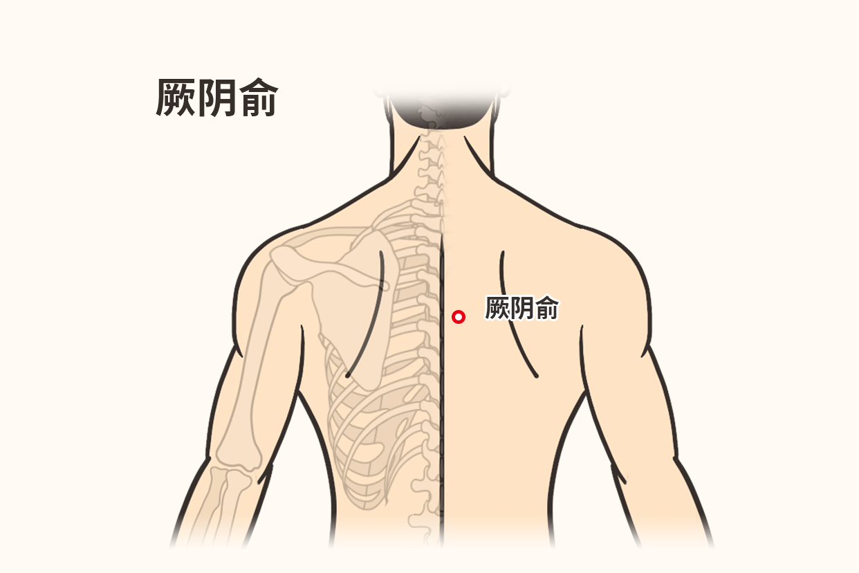 厥阴准确位置图片作用图片