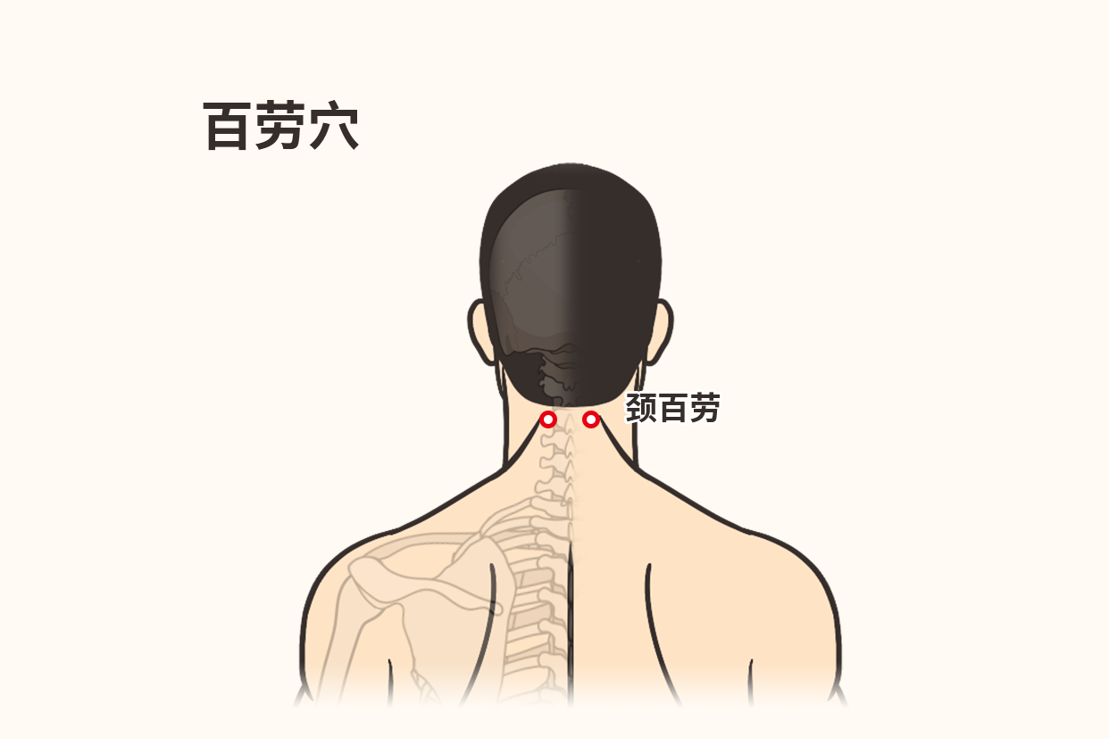 百劳穴位置图