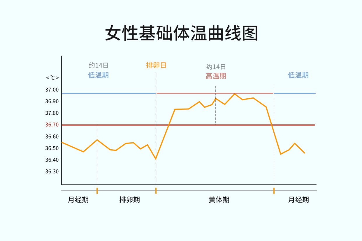 女性基础体温曲线图