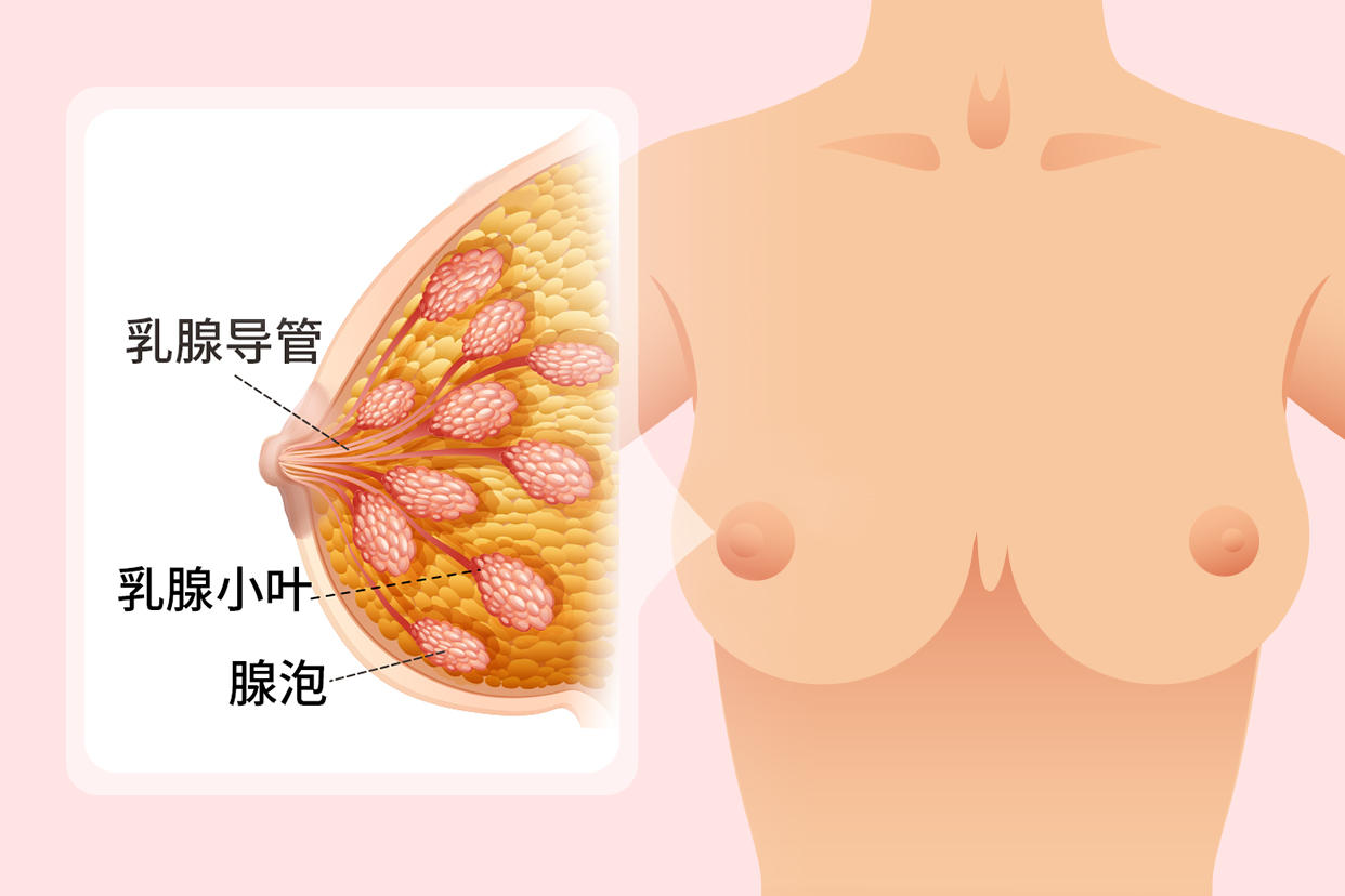 乳腺增生要怎么治?