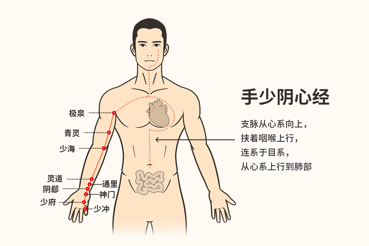 手少阴心经图