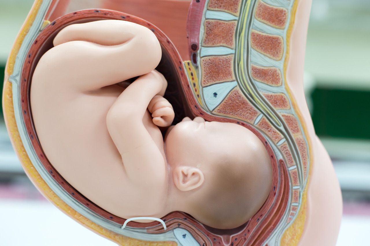 孕39周胎儿姿势图片
