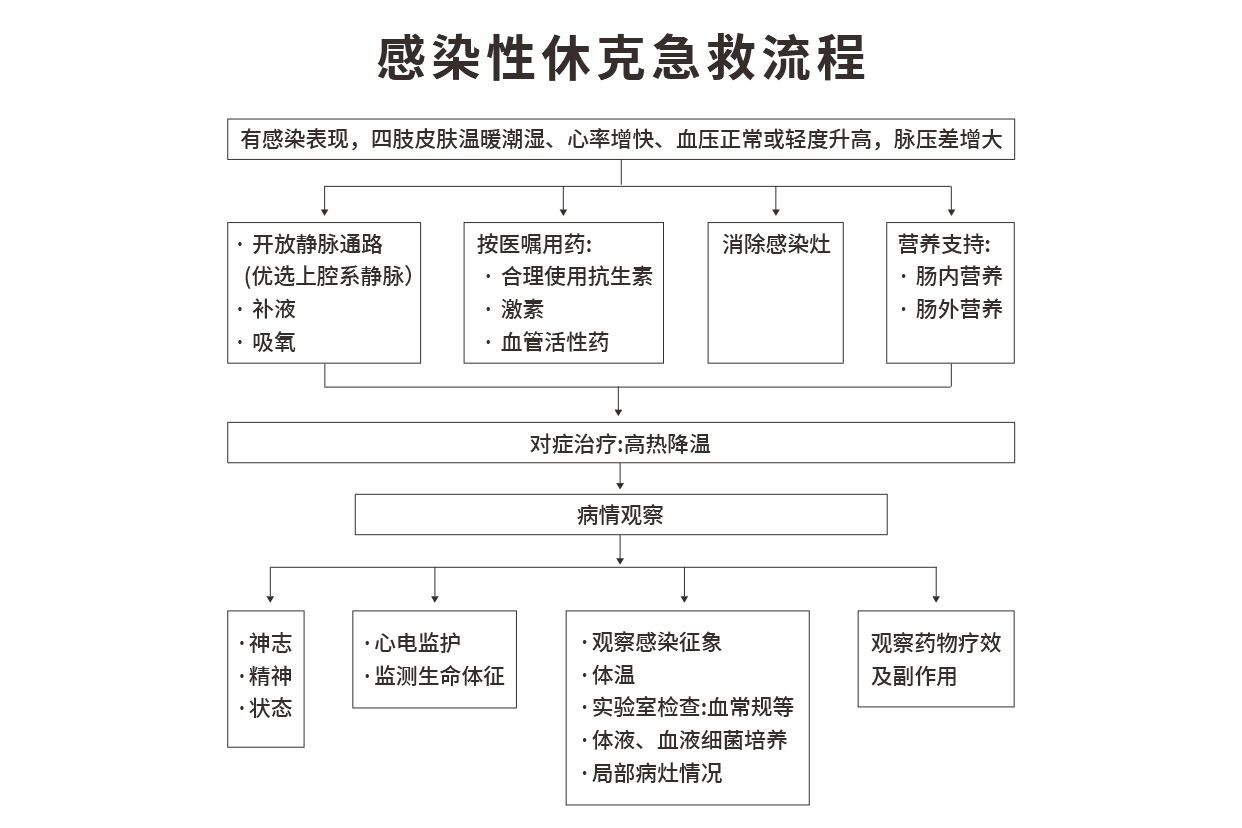 感染性休克的抢救流程图