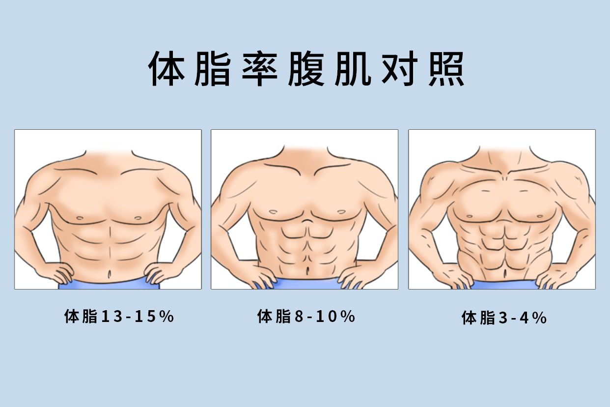 体脂率腹肌对照图片