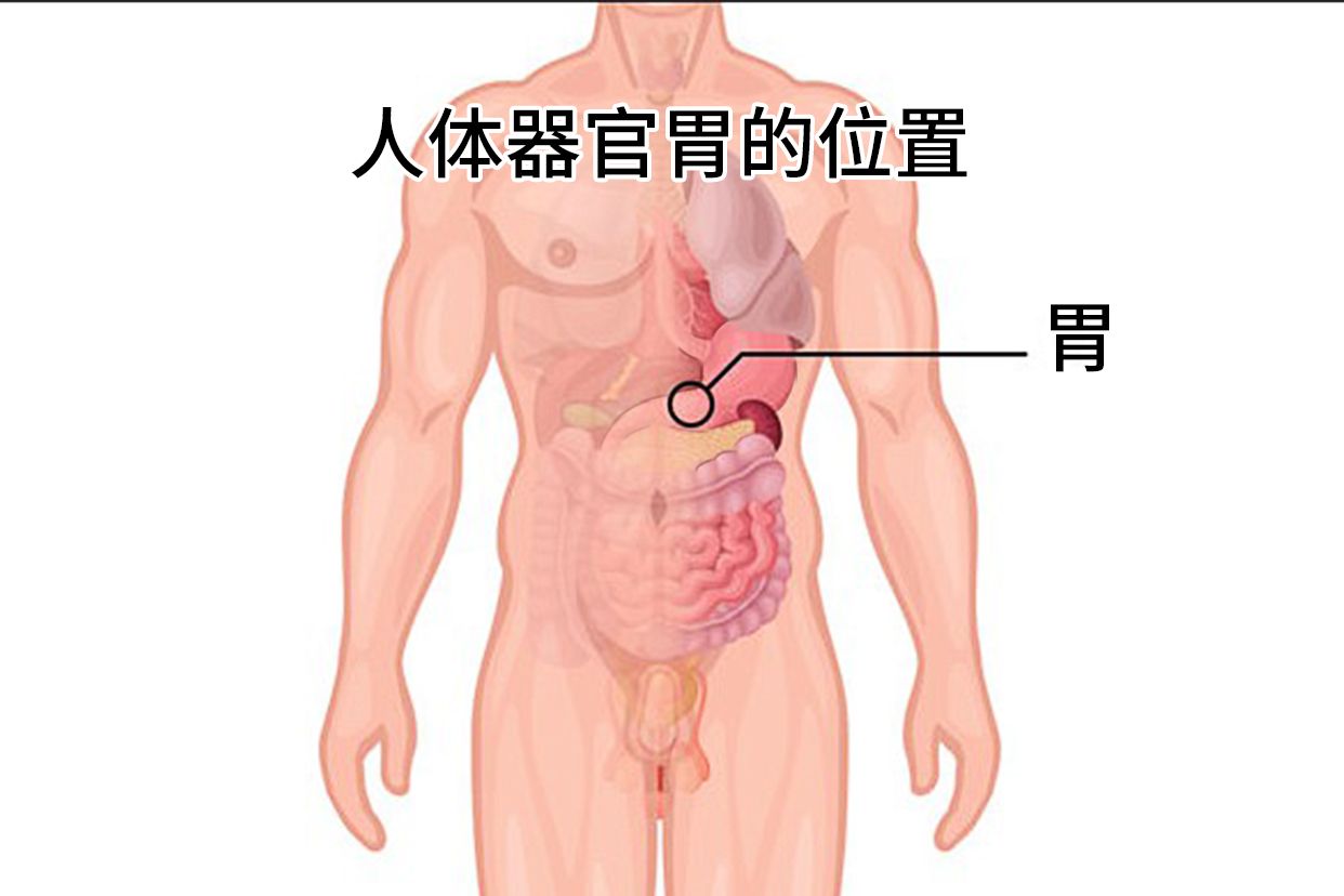 糜烂性胃炎不用怕 简单2味药 轻松修复胃黏膜