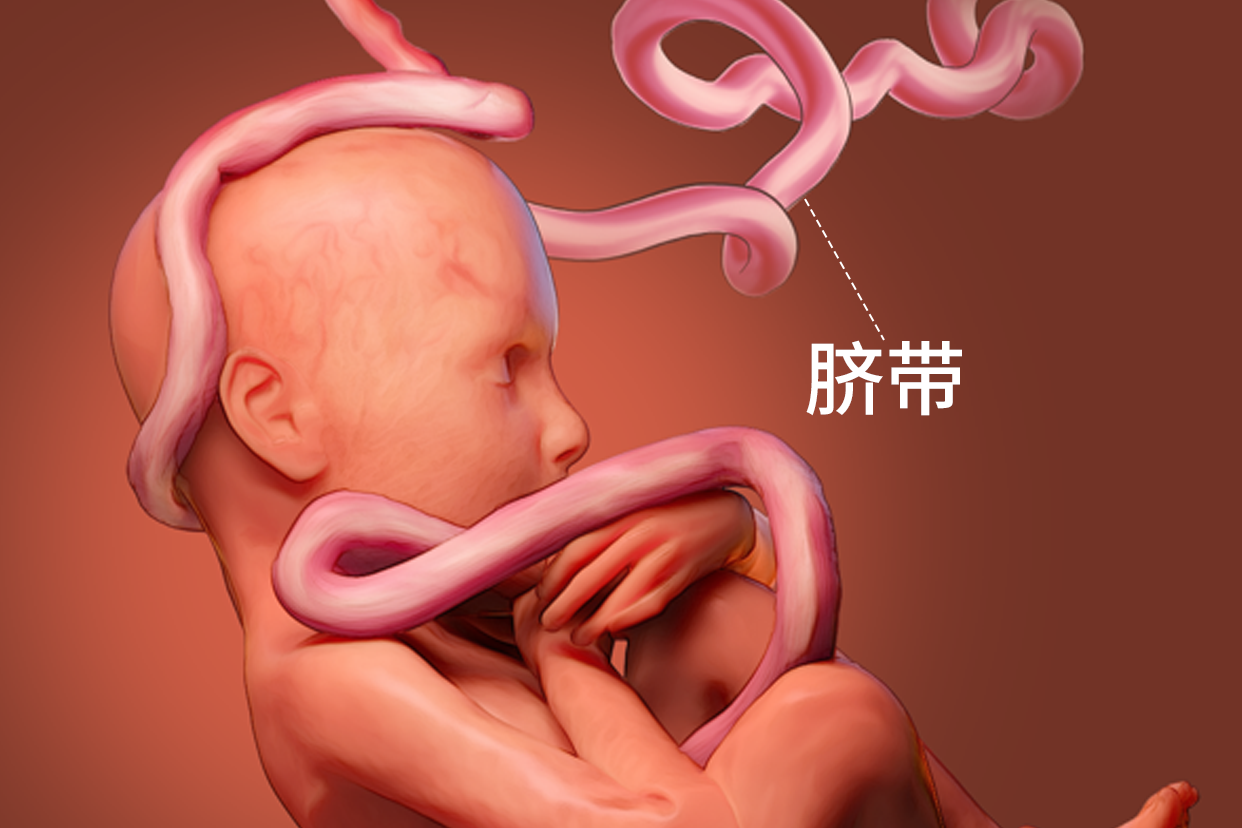 婴儿出生时的脐带血有必要保存吗?