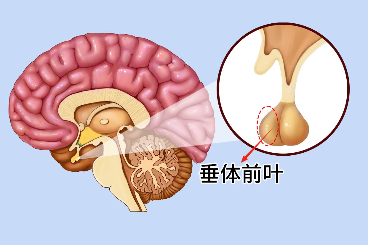 颞颌关节囊肿胀怎么办