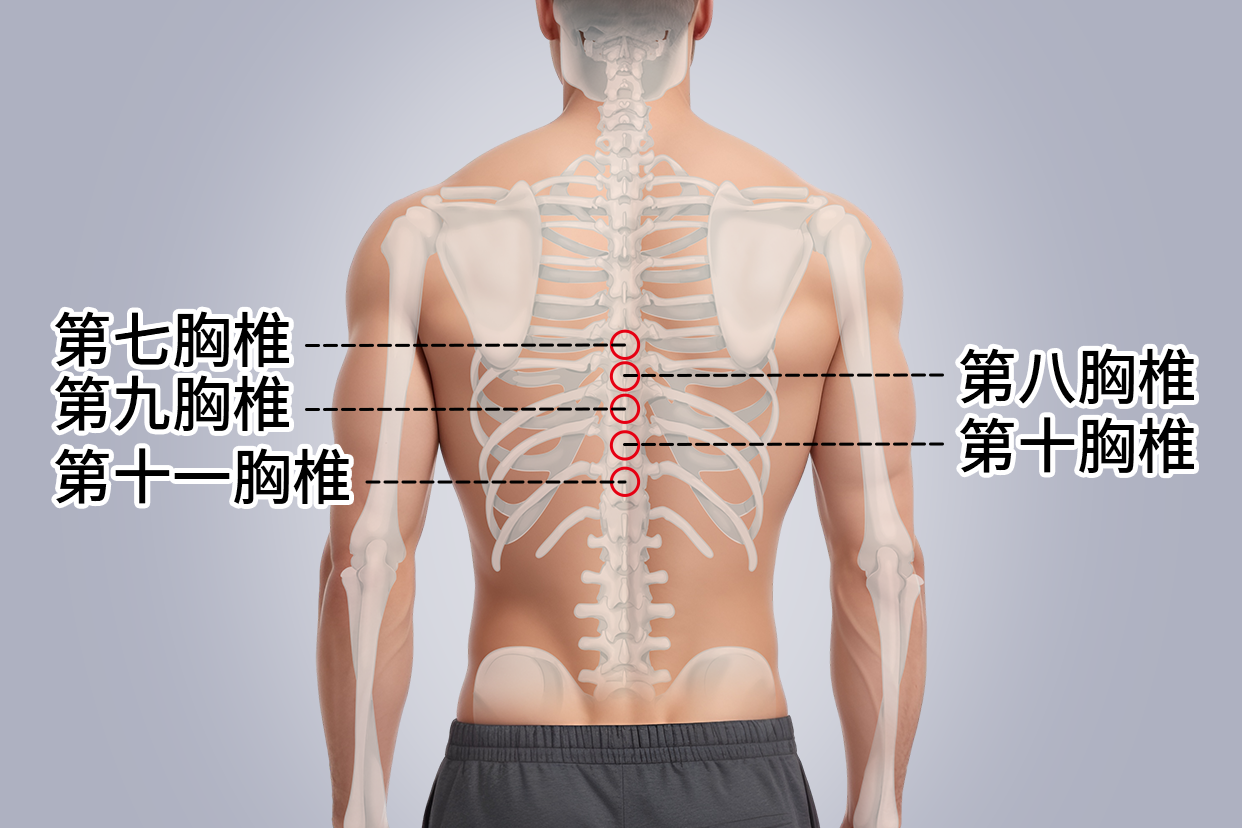 胸椎8-10突出椎管狭窄怎么治疗