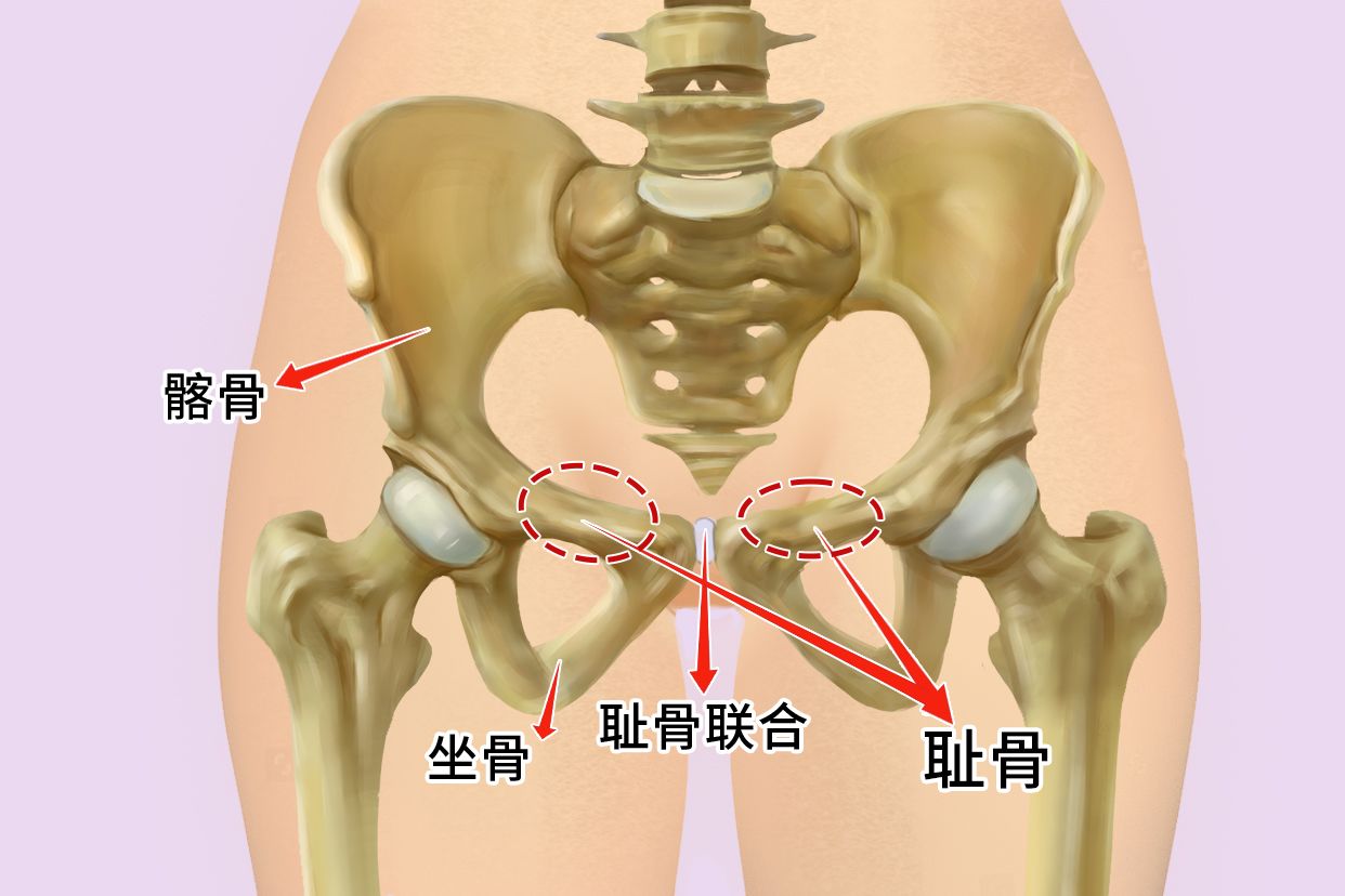 有木有!产后耻骨联合分离的痛让人怀疑人生