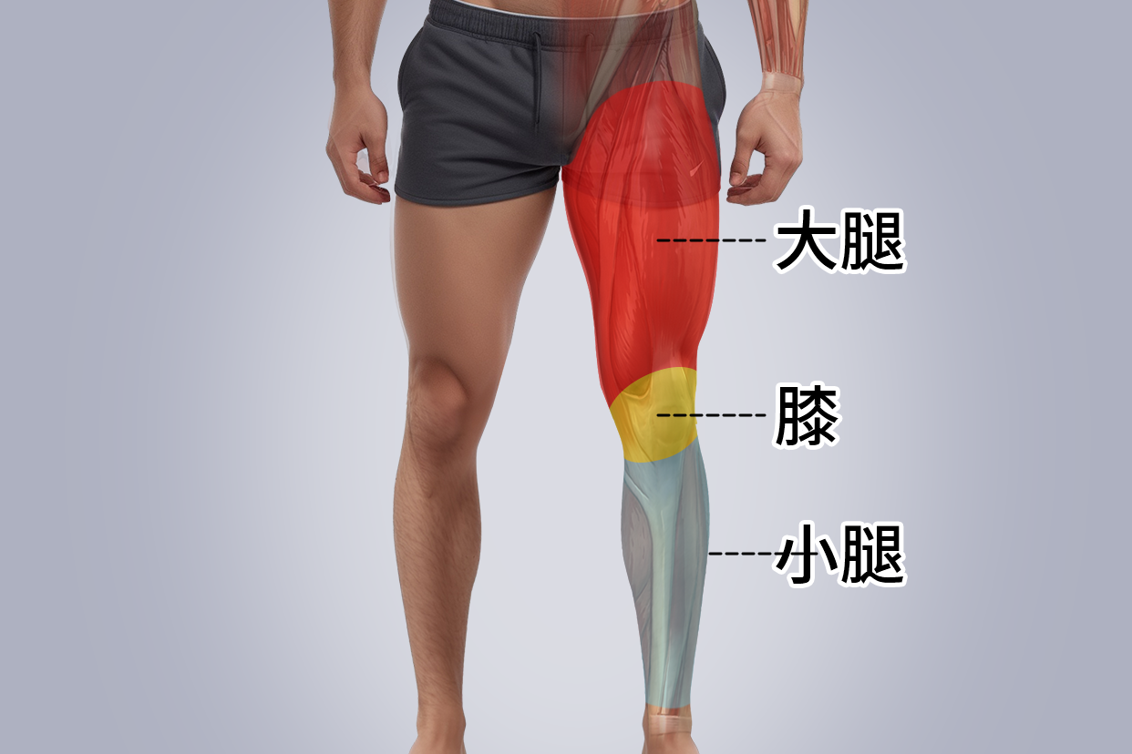 如何有效的瘦小腿肌肉?