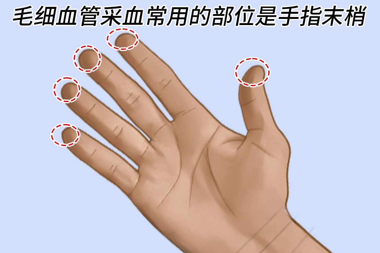 抗利尿激素ad h的作用部位是