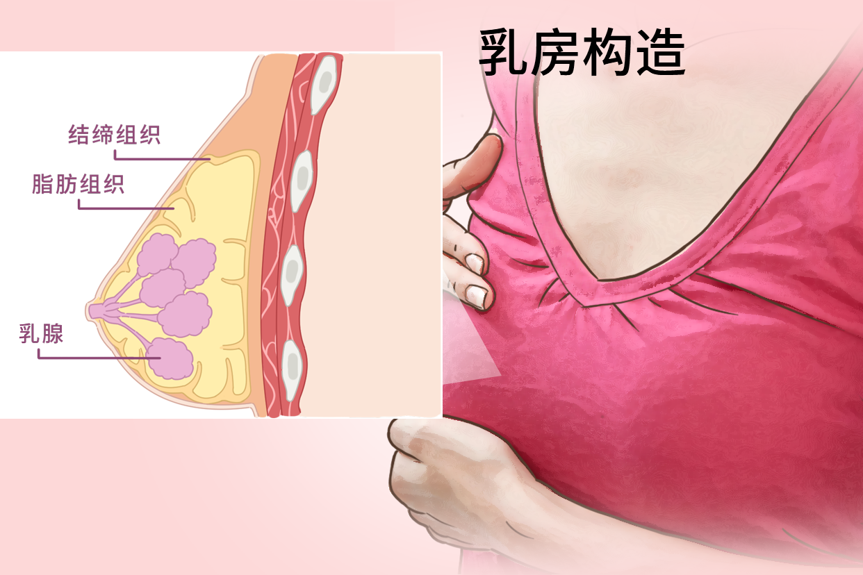 乳房湿疹什么症状
