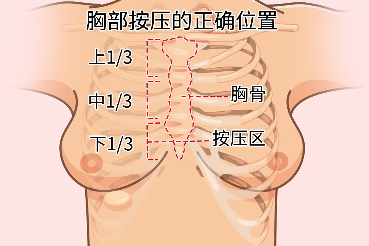 胸骨三角区是什么部位