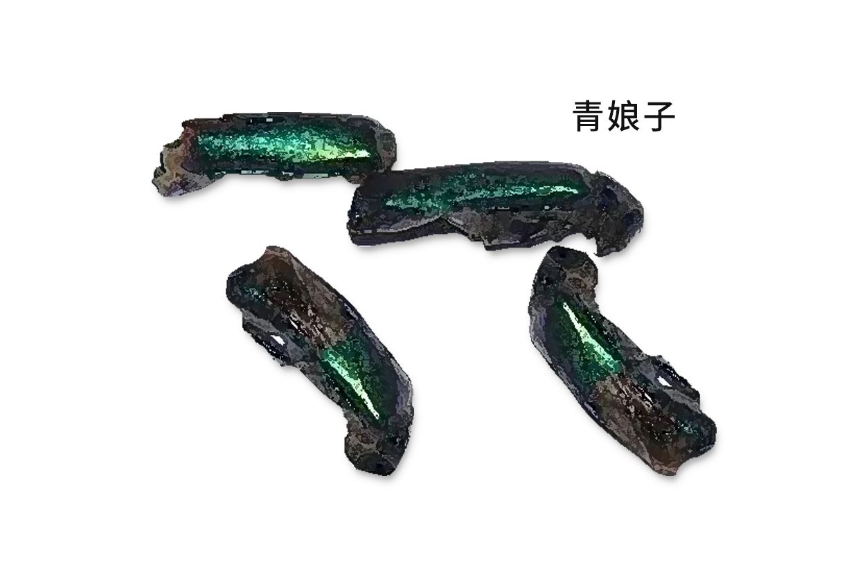 青娘子的功效与作用