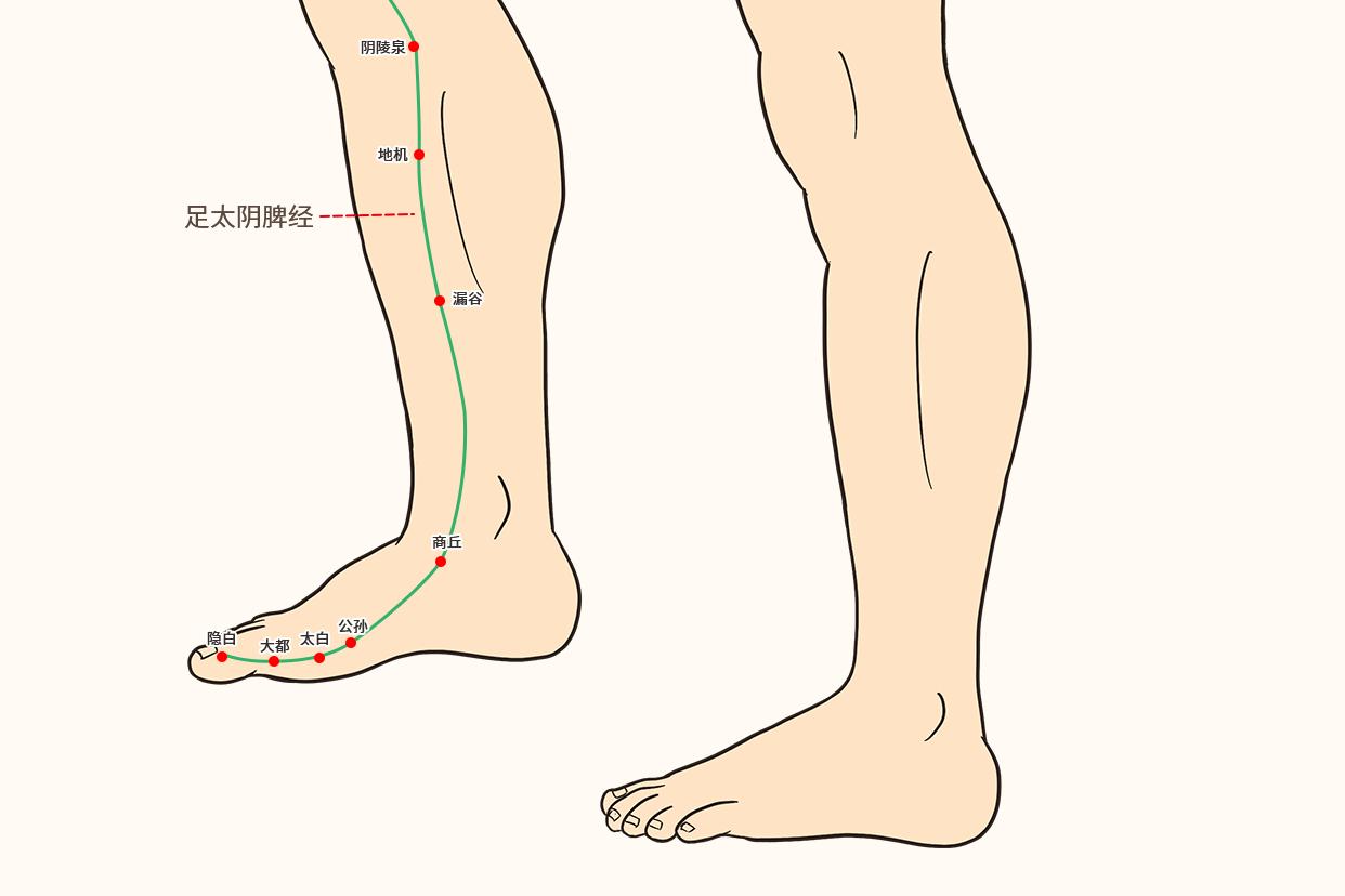 中医十四经络图解_word文档在线阅读与下载_免费文档