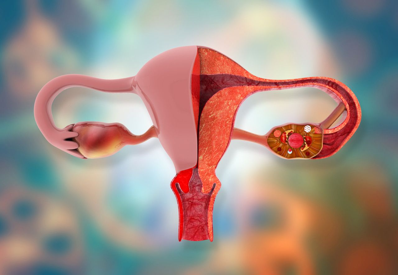 双子宫双阴道也是有怀孕的可能的