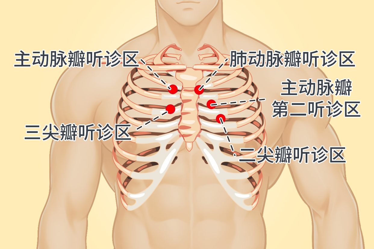 听心率位置图片