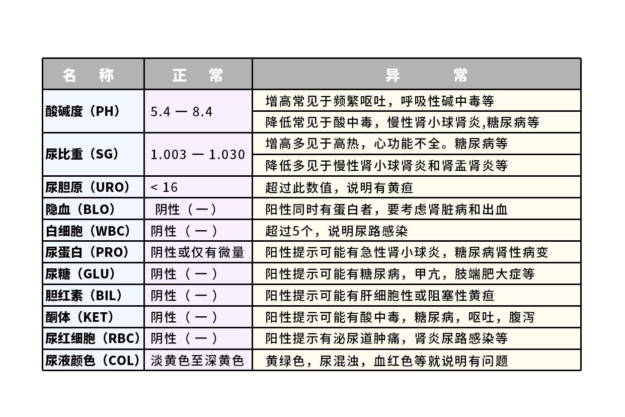 尿常规正常值图片