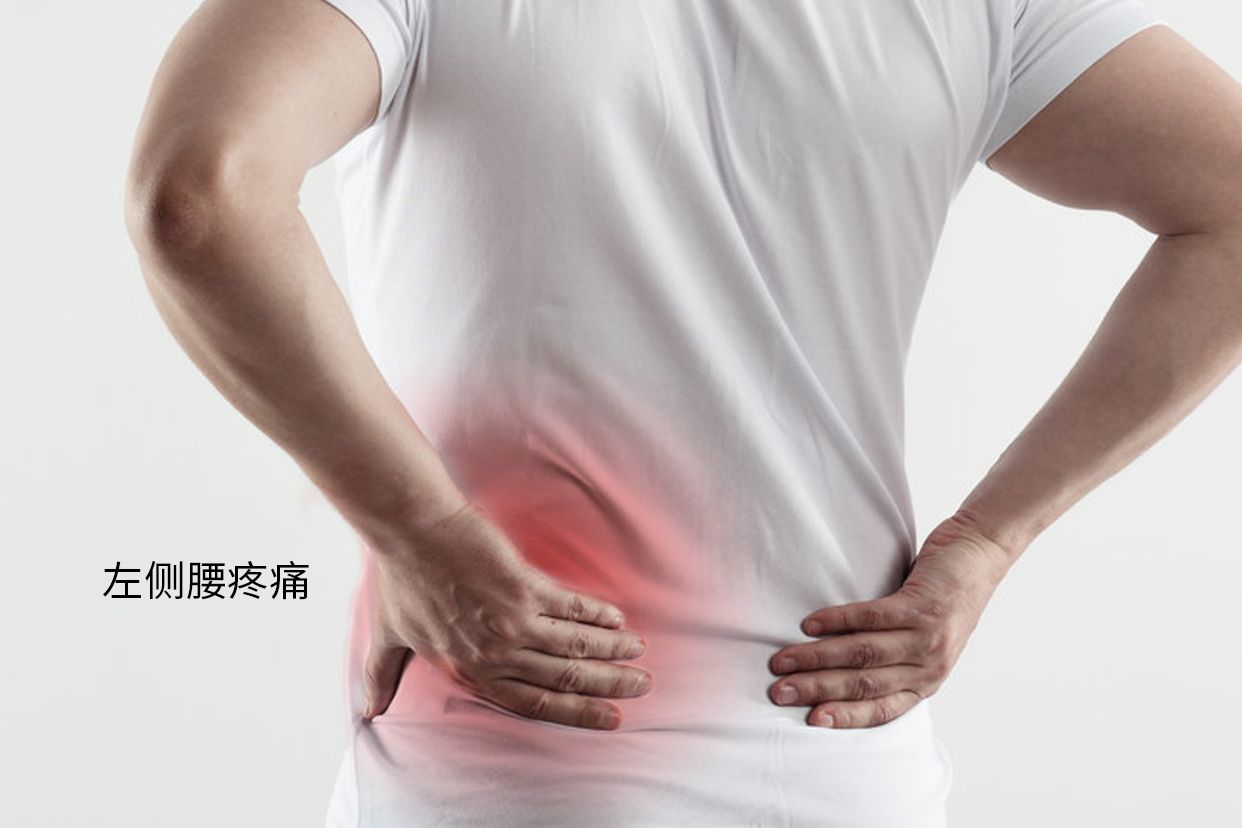 左侧腰疼痛位置图
