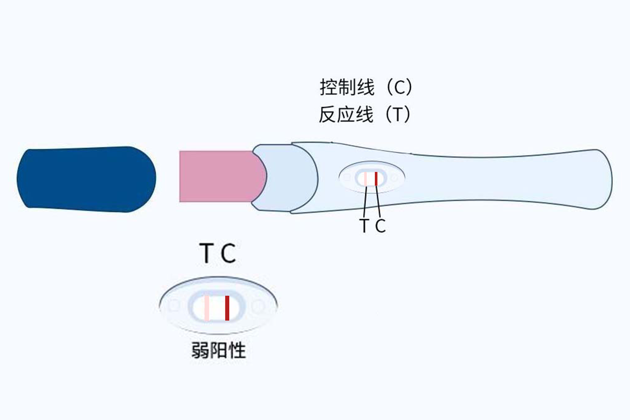 验孕试纸检测结果弱阳性图片