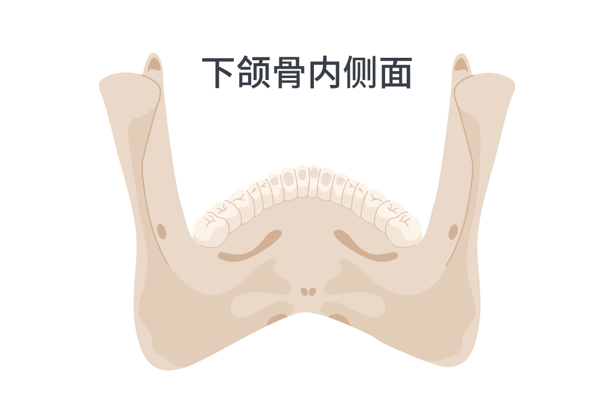 分享咬肌大/下颌骨外扩有效改善方法