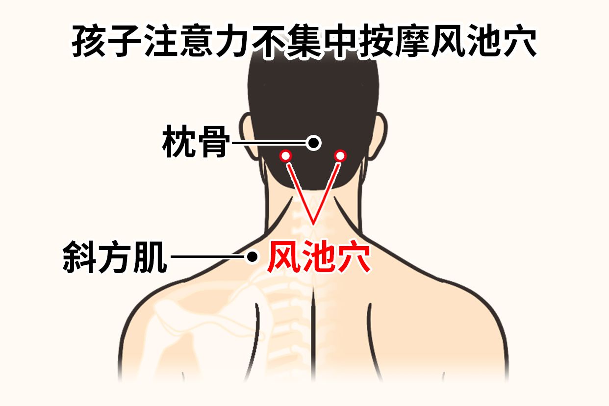 孩子注意力不集中按摩风池穴图